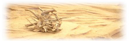 jak przygotować się na upał